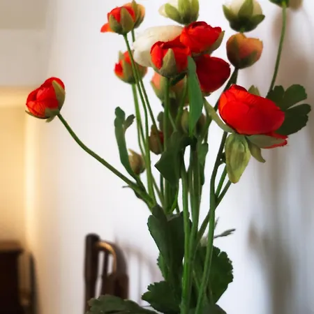 Luisa Country House - Pace E Tranquillita Tra Le Colline Marchigiane Villa *